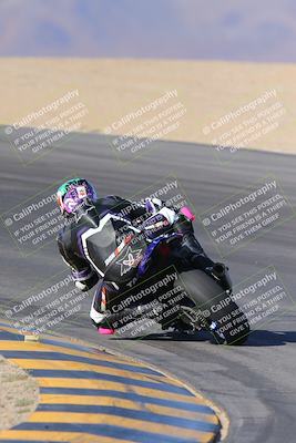 media/Nov-12-2023-SoCal Trackdays (Sun) [[5d1fba4e7d]]/Turn 10 Backside (115pm)/